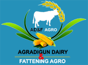 Agradigun Dairy & Fattening Agro, BD