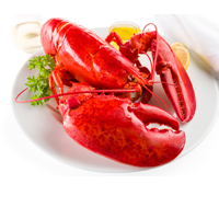 Lobster 