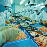 Process & Further Process