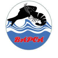 BAPCA