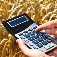 Agricultural Economics