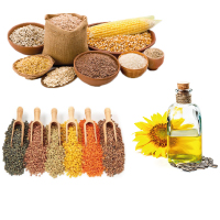 Grain, Oil & Pulse