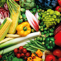 Commercial Veg. Garden