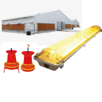 Shed-Light & Brooding