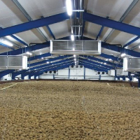 Potato & Cold Storage