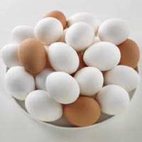 Table Egg