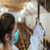 Disease & Diagnostic