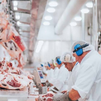 Process & Further Process