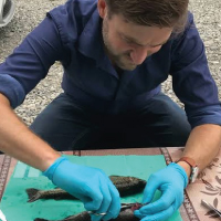 Disease & Diagnostic