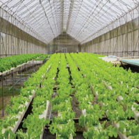 Agronomy & Agricultural