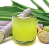 Sugarcane