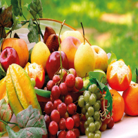 Commercial Fruits Garden