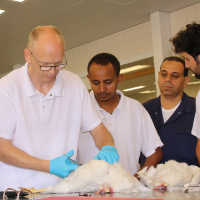 Disease & Diagnostic