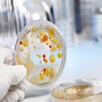 Microbiology & Hygiene