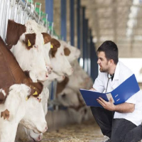 Disease & Diagnostic