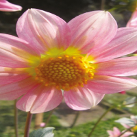 Farm Stru. & Environ. Engg.