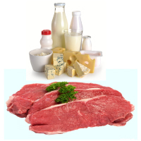 Dairy & Beef Fattening