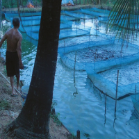 Aquaculture