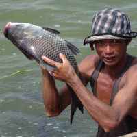 Product Develop. Specialist