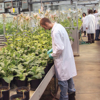 Crop Science & Technology