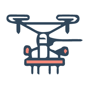 Icon 1